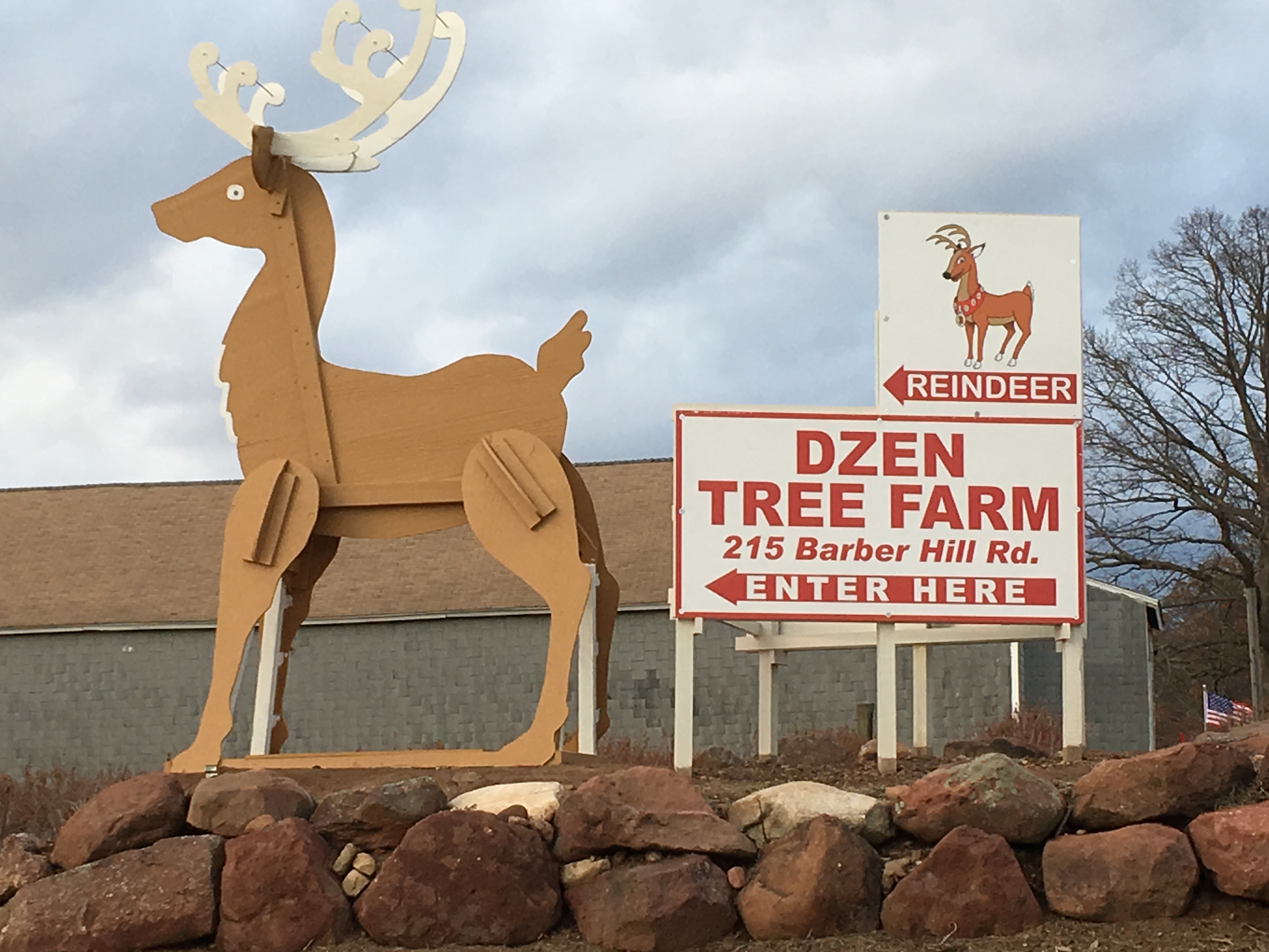 Dzen Tree Farm | Visit CT